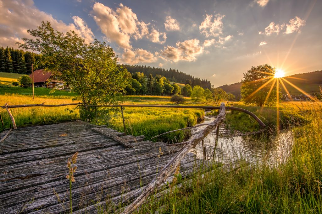 _A856934-HDR-Bearbeitet-5